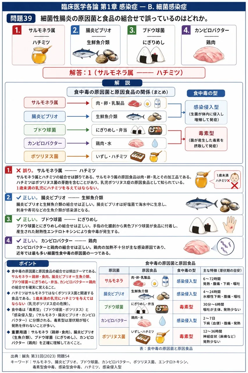 鍼灸 第31回(2023) 問題54|細菌性腸炎の原因菌と食品の組合せで誤っているのはどれか。 解説図
