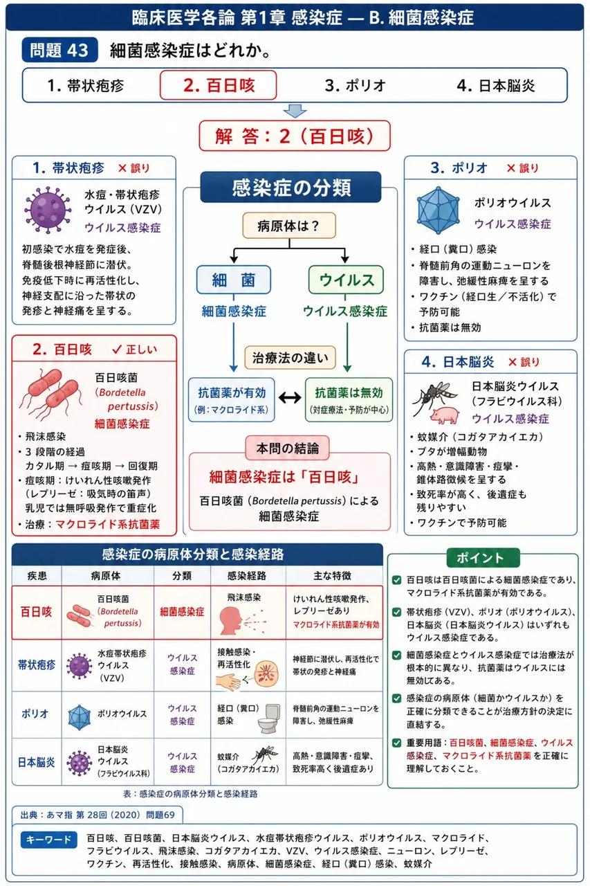 あマ指 第28回(2020) 問題69|細菌感染症はどれか。 解説図