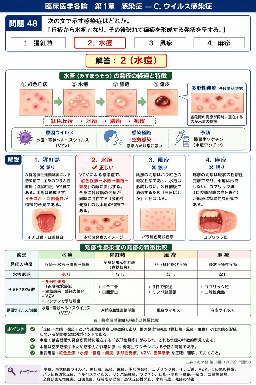 あマ指 第30回(2022) 問題58|次の文で示す感染症はどれか。「丘疹から水疱となり、その後破れて痂疲を形成する発疹を呈する。」 解説図