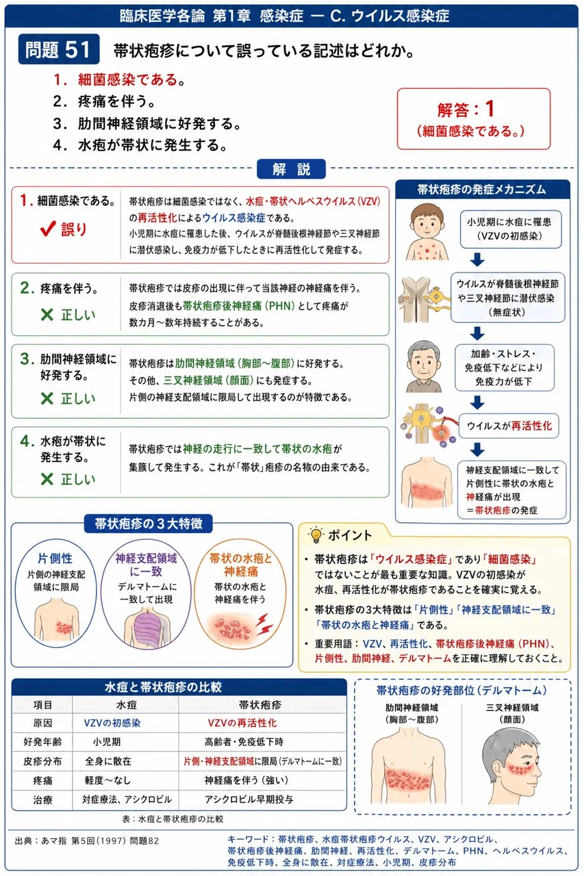 あマ指 第5回(1997) 問題82|帯状疱疹について誤っている記述はどれか。 解説図