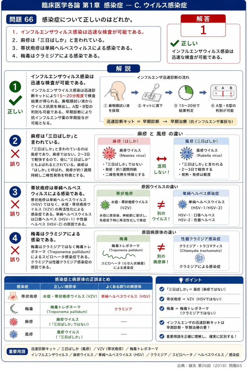鍼灸 第26回(2018) 問題65|感染症について正しいのはどれか。 解説図