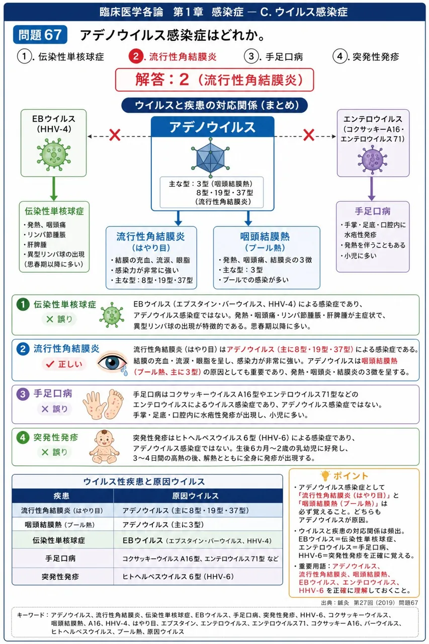 鍼灸 第27回(2019) 問題67|アデノウイルス感染症はどれか。 解説図