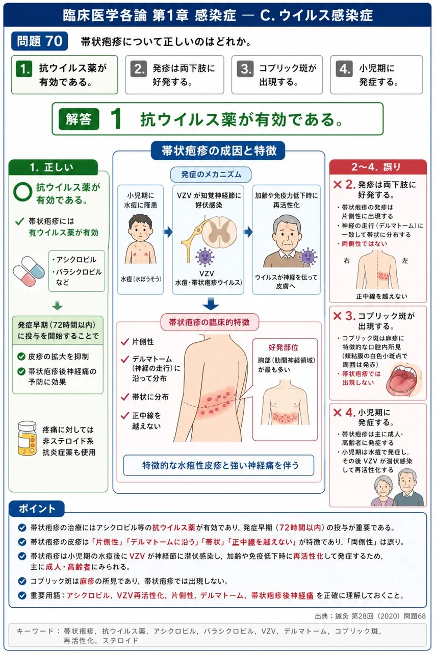 鍼灸 第28回(2020) 問題68｜帯状疱疹について正しいのはどれか。 解説図
