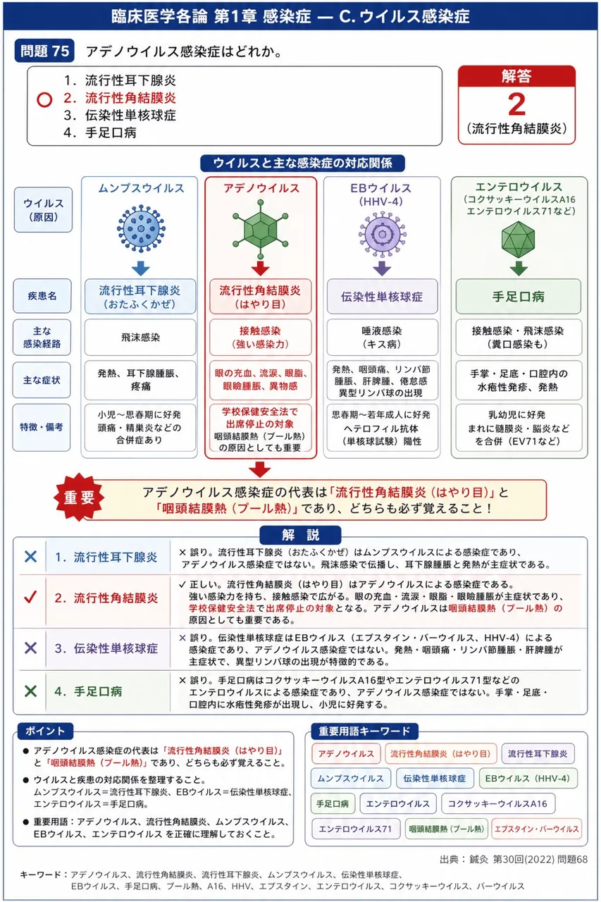 鍼灸 第30回(2022) 問題68｜アデノウイルス感染症はどれか。 解説図
