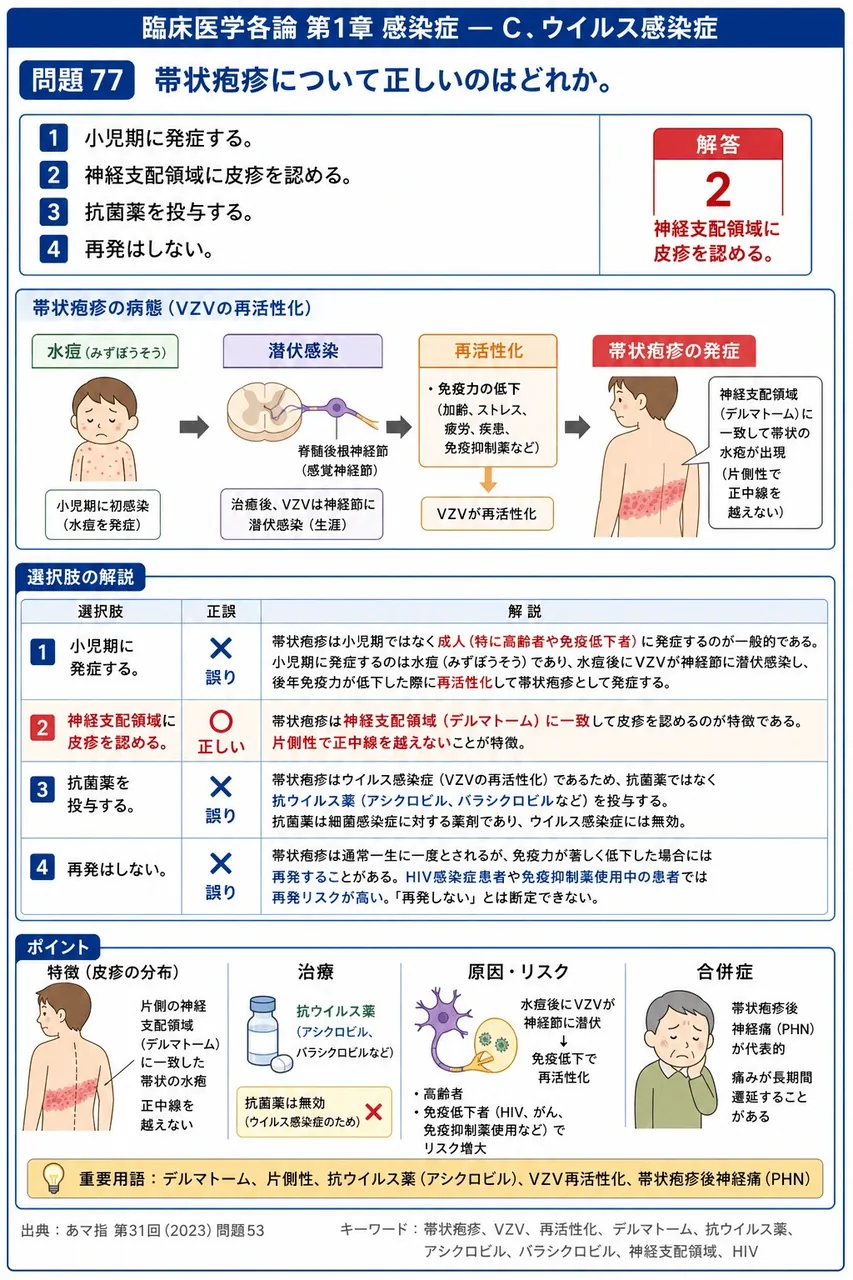 あマ指 第31回(2023) 問題53｜帯状疱疹について正しいのはどれか。 解説図