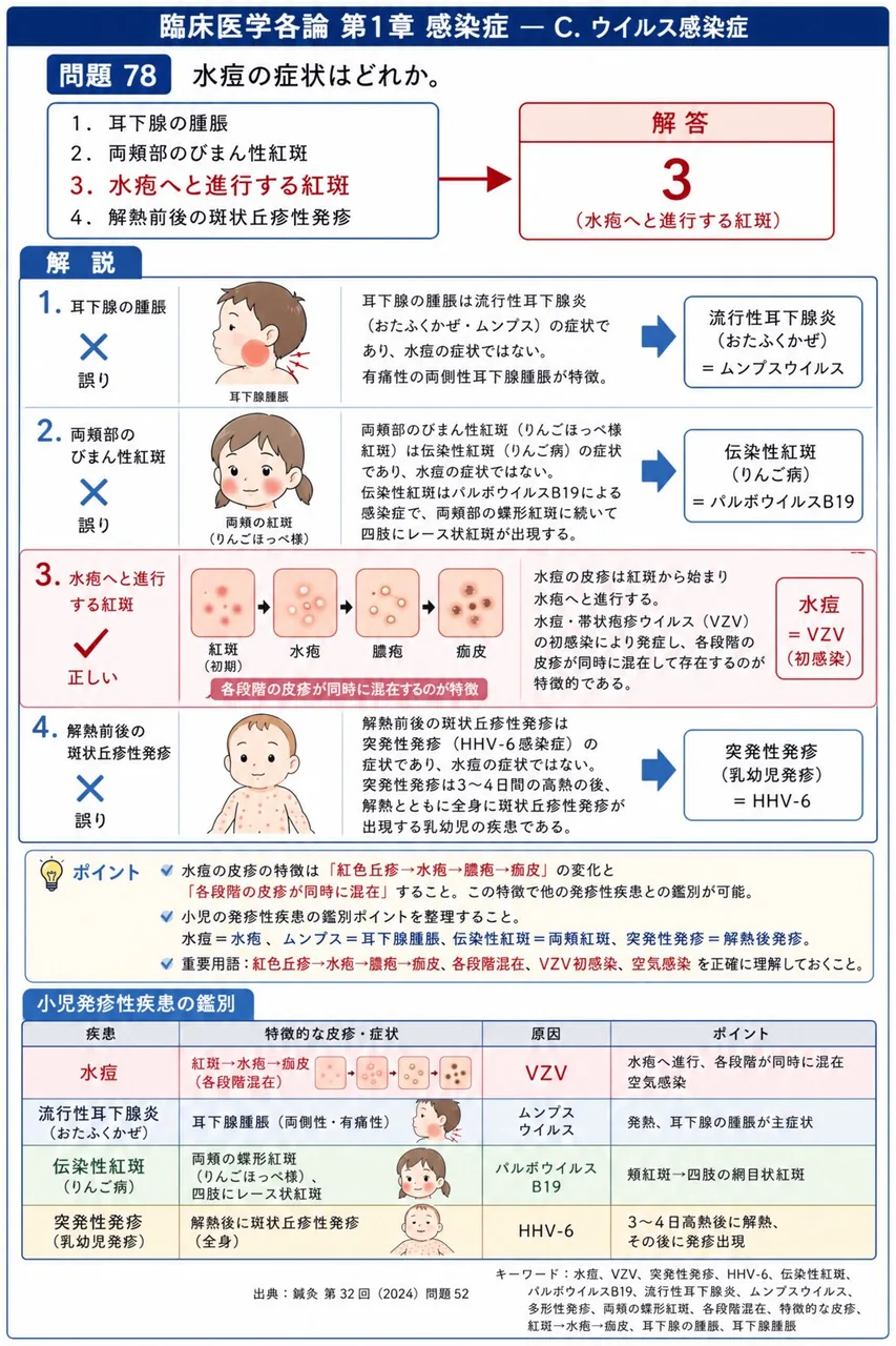 鍼灸 第32回(2024) 問題52|水痘の症状はどれか。 解説図