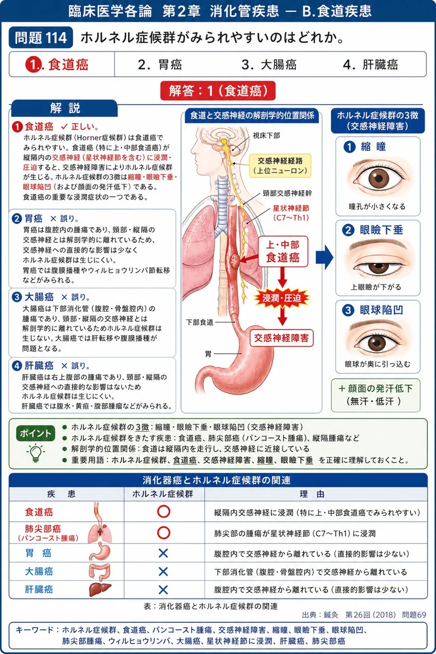 鍼灸 第26回(2018) 問題69|ホルネル症候群がみられやすいのはどれか。 解説図