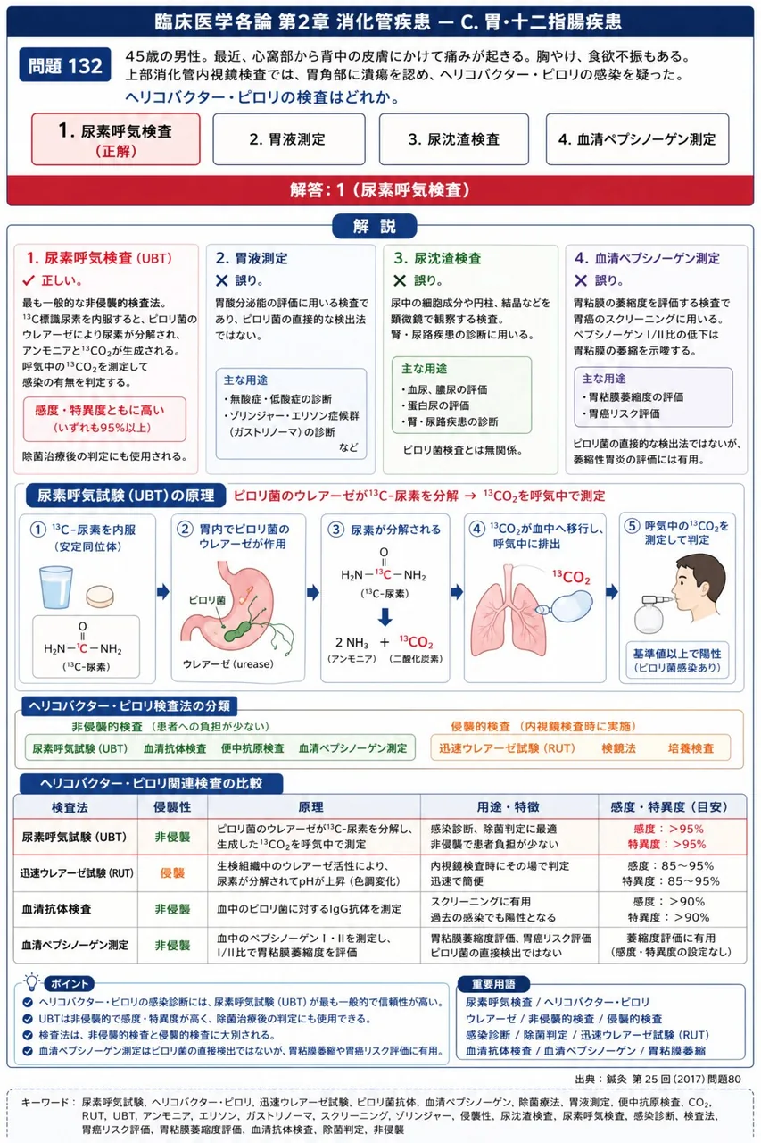 鍼灸 第25回(2017) 問題80|「45歳の男性。最近、心窩部から背中の皮膚にかけて痛みが起きる。胸やけ、食欲不振もある。上部消化管内視鏡検査では、胃角部に潰瘍を認め、ヘリコバクター・ピロリの感染を疑った。」ヘリコバクター・ピロリの検査はどれか。 解説図