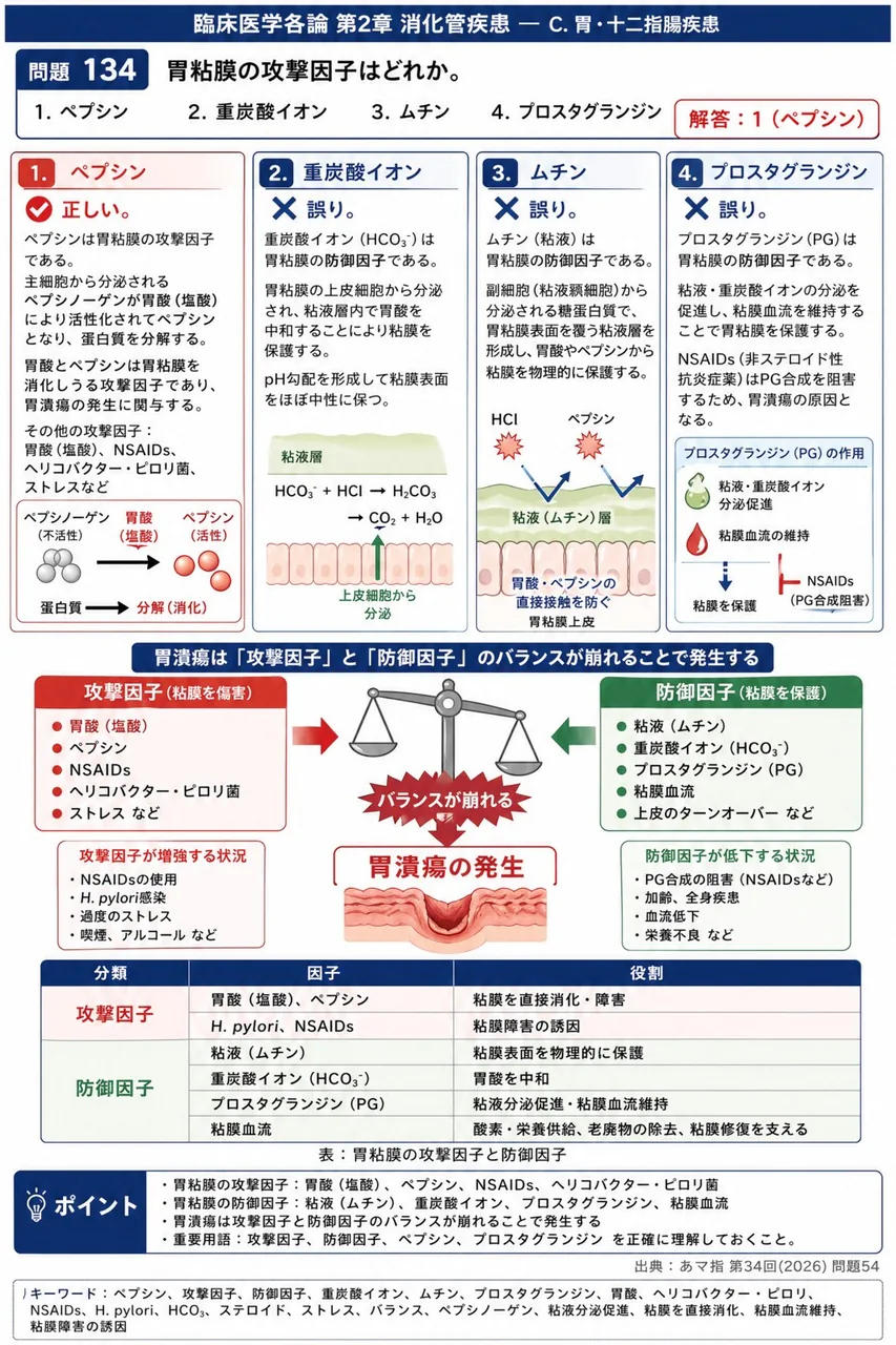あマ指 第34回(2026) 問題54|胃粘膜の攻撃因子はどれか。 解説図