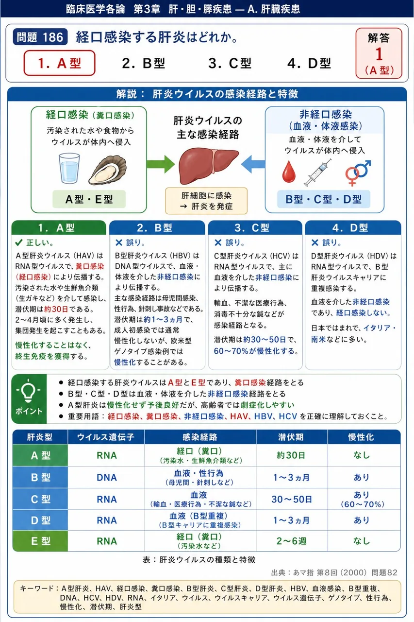 あマ指 第8回(2000) 問題82｜経口感染する肝炎はどれか。 解説図
