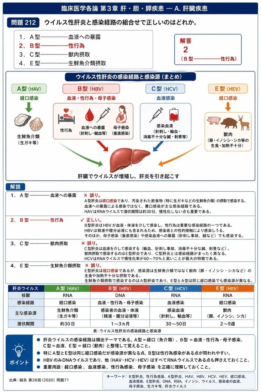 鍼灸 第28回(2020) 問題71|ウイルス性肝炎と感染経路の組合せで正しいのはどれか。 解説図