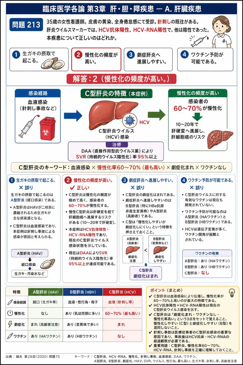 鍼灸 第28回(2020) 問題75|「35歳の女性看護師。皮膚の黄染、全身倦怠感にて受診。針刺しの既往がある。肝炎ウイルスマーカーでは、HCV抗体陽性、HCV-RNA陽性で、他は陰性であった。」本疾患について正しいのはどれか。 解説図