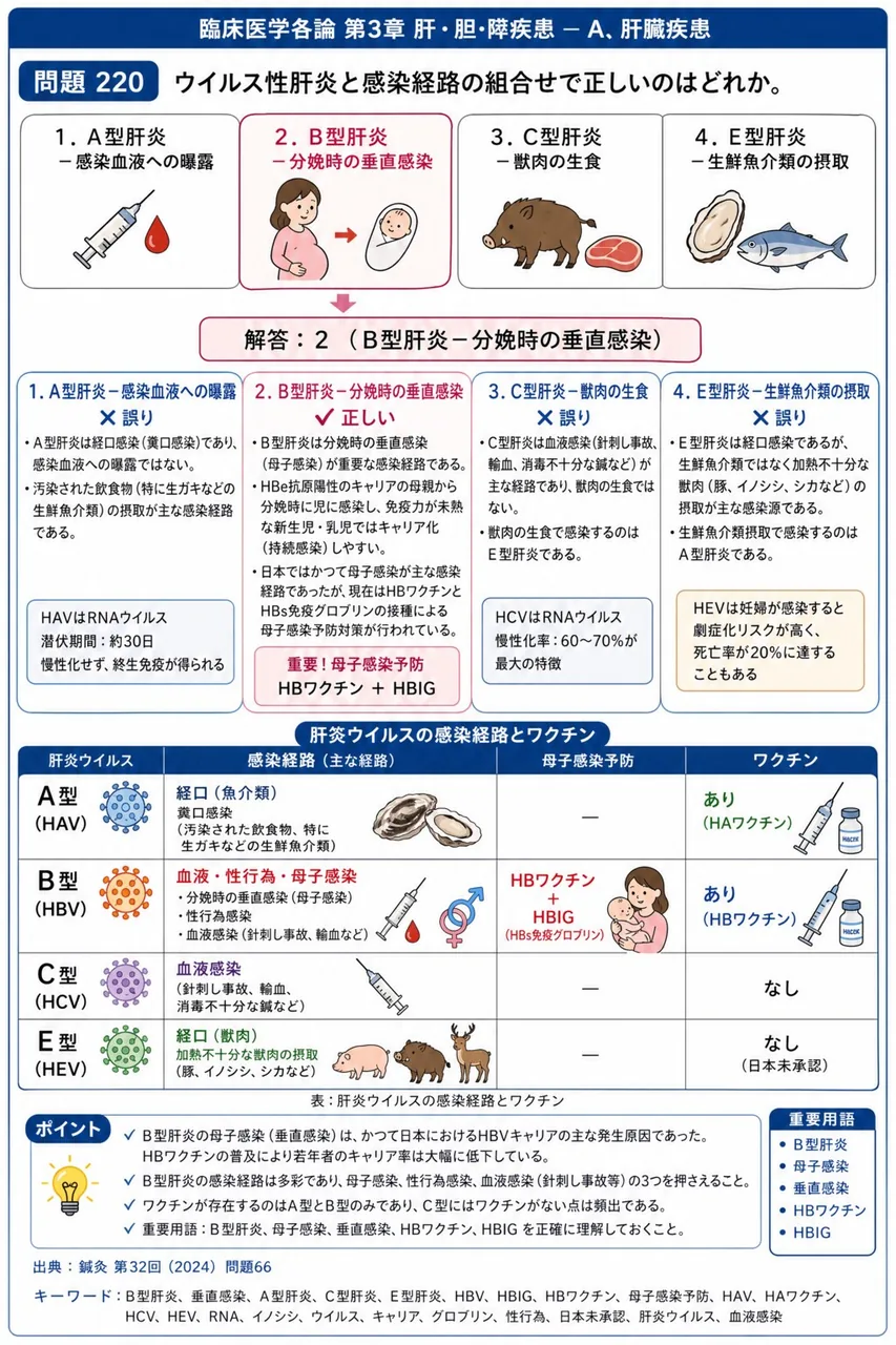 鍼灸 第32回(2024) 問題66|ウイルス性肝炎と感染経路の組合せで正しいのはどれか。 解説図