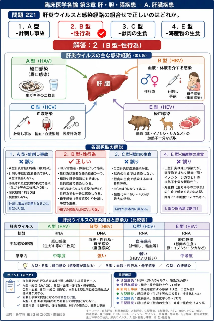 あマ指 第33回(2025) 問題56|肝炎ウイルスと感染経路の組合せで正しいのはどれか。 解説図