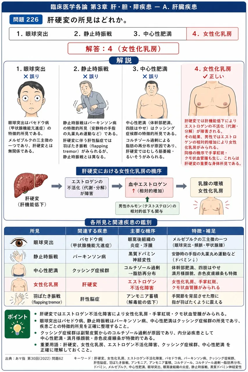 あマ指 第30回(2022) 問題62|肝硬変の所見はどれか。 解説図