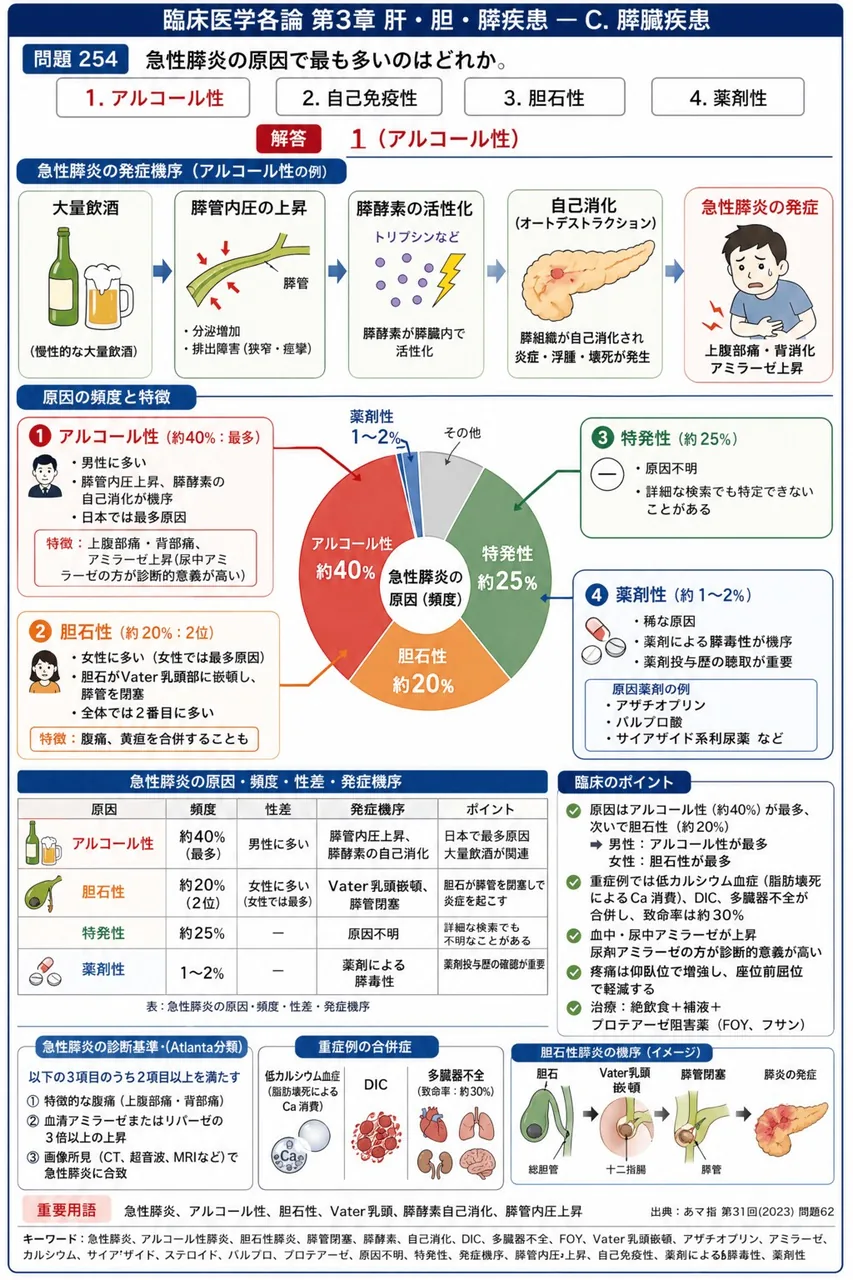 あマ指 第31回(2023) 問題62|急性膵炎の原因で最も多いのはどれか。 解説図
