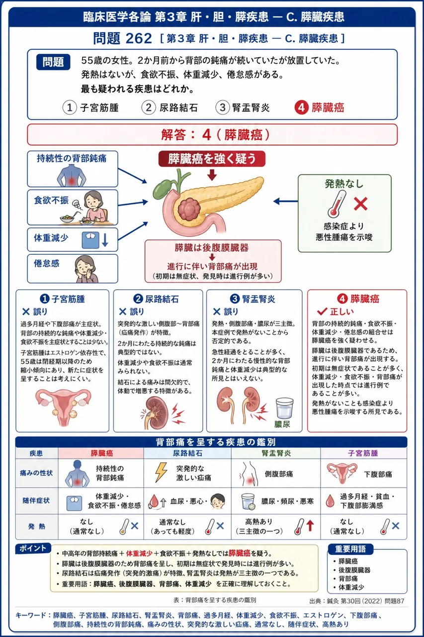 鍼灸 第30回(2022) 問題87|「55歳の女性。2か月前から背部の鈍痛が続いていたが放置していた。発熱はないが、食欲不振、体重減少、倦怠感がある。」最も疑われる疾患はどれか。 解説図
