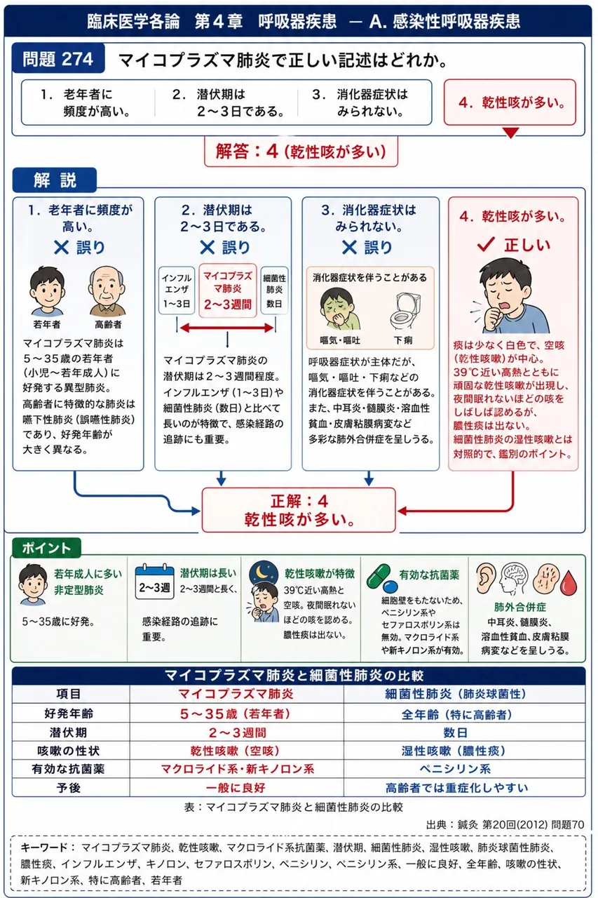 鍼灸 第20回(2012) 問題70|マイコプラズマ肺炎で正しい記述はどれか。 解説図