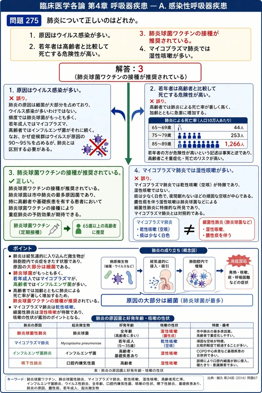 鍼灸 第24回(2016) 問題67|肺炎について正しいのはどれか。 解説図