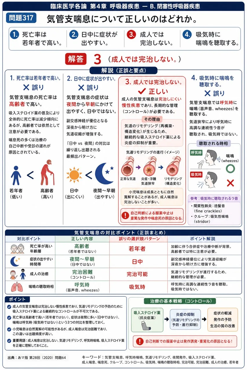 あマ指 第28回(2020) 問題64｜気管支喘息について正しいのはどれか。 解説図