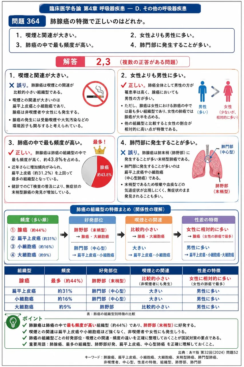 あマ指 第32回(2024) 問題52|肺腺癌の特徴で正しいのはどれか。 解説図