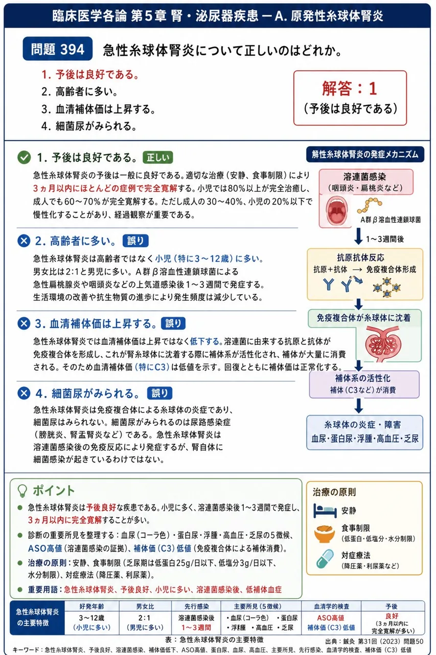鍼灸 第31回(2023) 問題50|急性糸球体腎炎について正しいのはどれか。 解説図