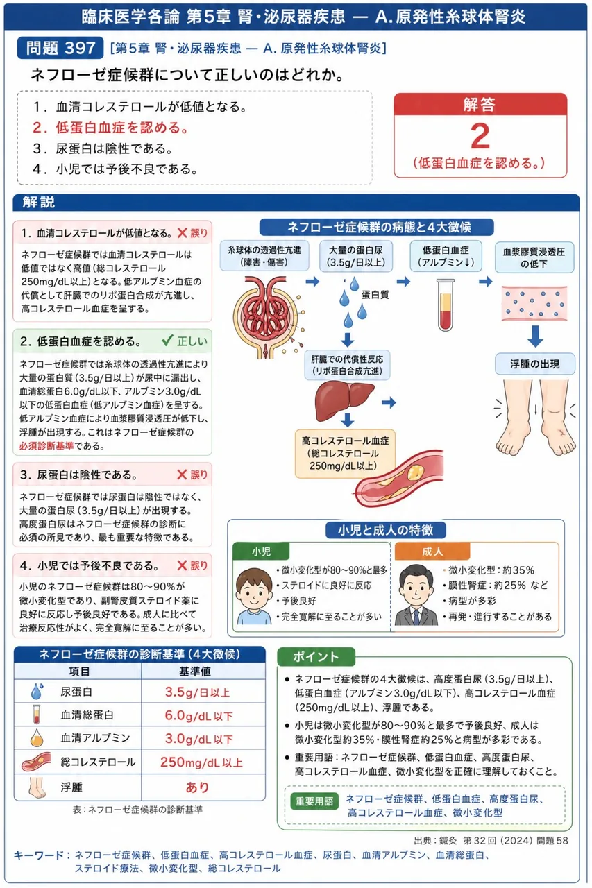 鍼灸 第32回(2024) 問題58｜ネフローゼ症候群について正しいのはどれか。 解説図