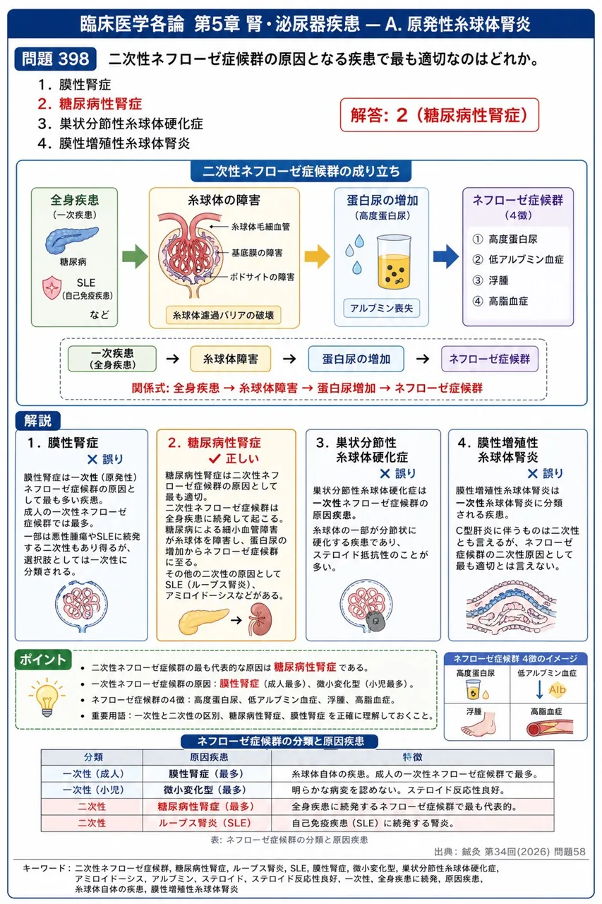 鍼灸 第34回(2026) 問題58|二次性ネフローゼ症候群の原因となる疾患で最も適切なのはどれか。 解説図