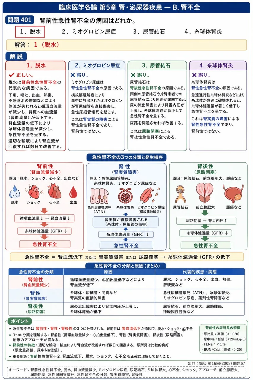 鍼灸 第16回(2008) 問題67｜腎前性急性腎不全の病因はどれか。 解説図