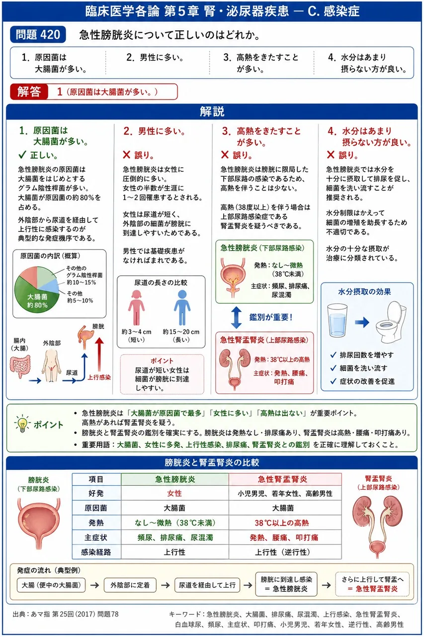 あマ指 第25回(2017) 問題78|急性膀胱炎について正しいのはどれか。 解説図