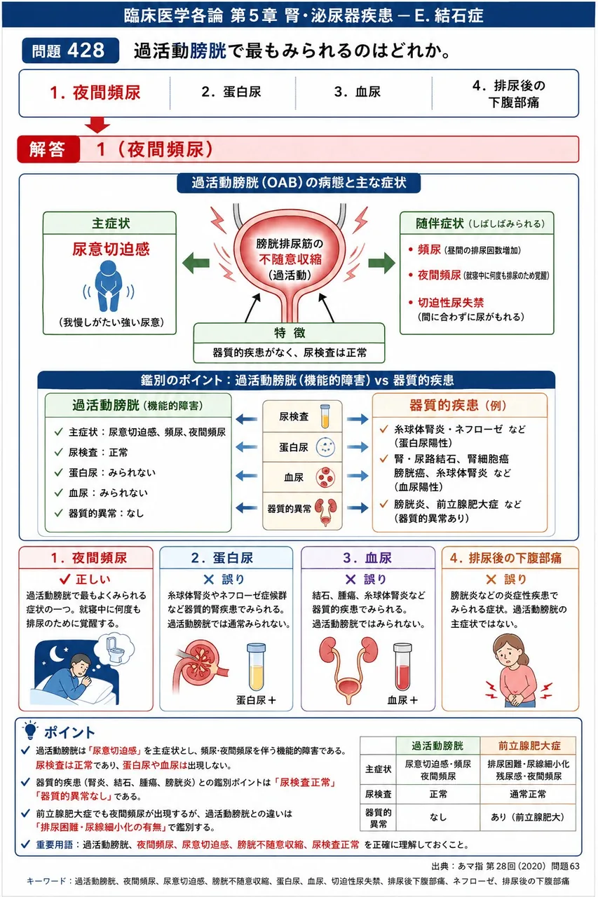 あマ指 第28回(2020) 問題63｜過活動膀胱で最もみられるのはどれか。 解説図