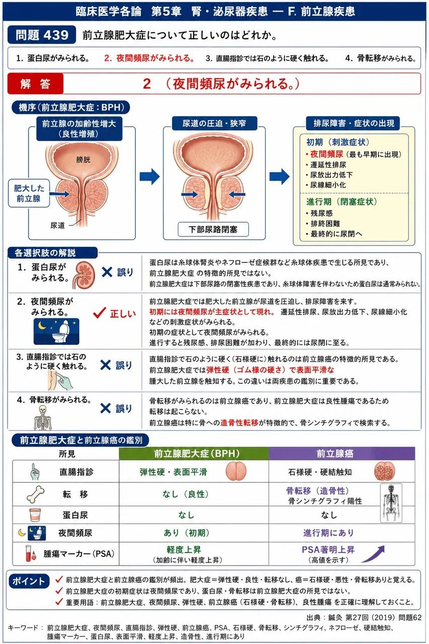 鍼灸 第27回(2019) 問題62|前立腺肥大症について正しいのはどれか。 解説図