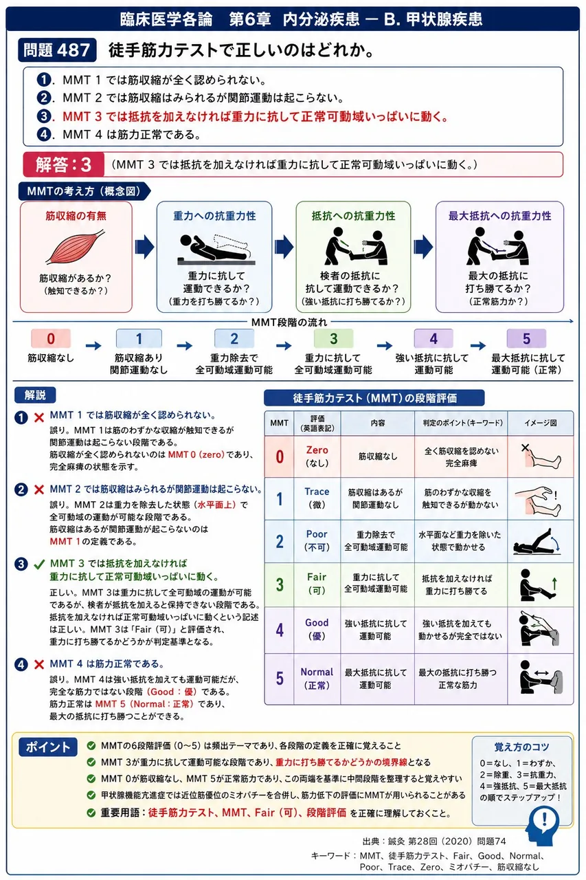 鍼灸 第28回(2020) 問題74|徒手筋力テストで正しいのはどれか。 解説図