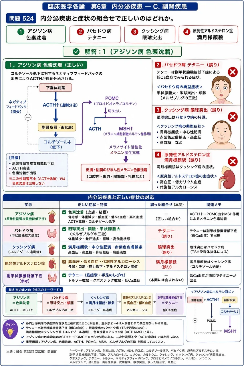 鍼灸 第33回(2025) 問題61|内分泌疾患と症状の組合せで正しいのはどれか。 解説図