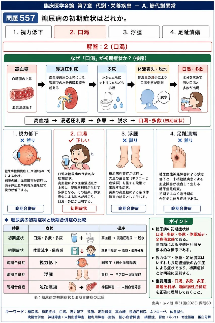 あマ指 第31回(2023) 問題60｜糖尿病の初期症状はどれか。 解説図
