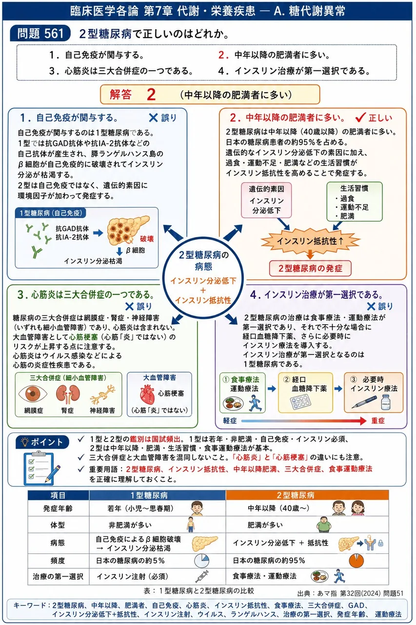 あマ指 第32回(2024) 問題51｜2型糖尿病で正しいのはどれか。 解説図