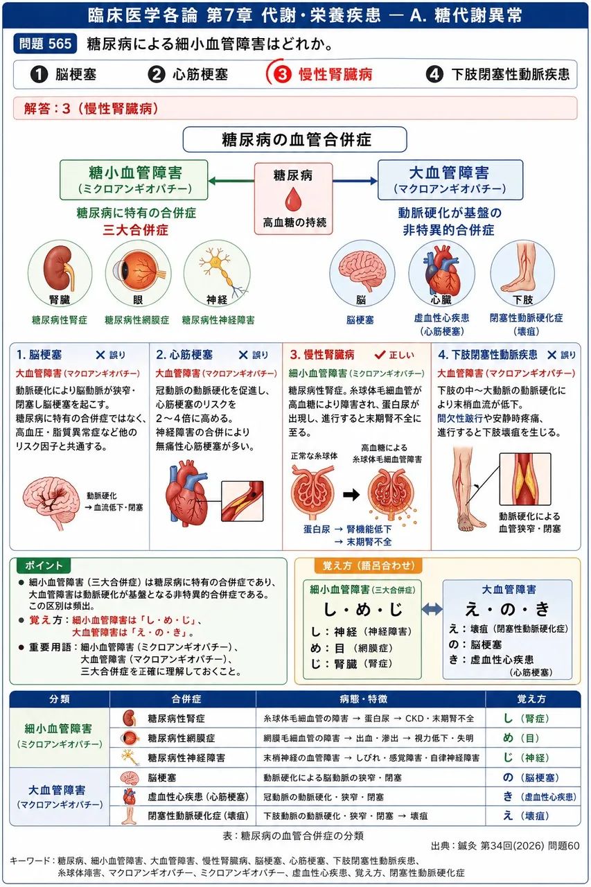 鍼灸 第34回(2026) 問題60|糖尿病による細小血管障害はどれか。 解説図
