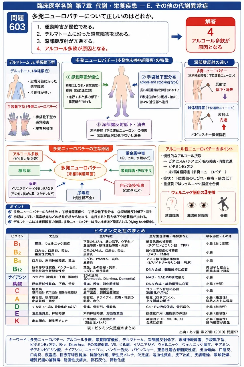あマ指 第27回(2019) 問題57|多発ニューロパチーについて正しいのはどれか。 解説図
