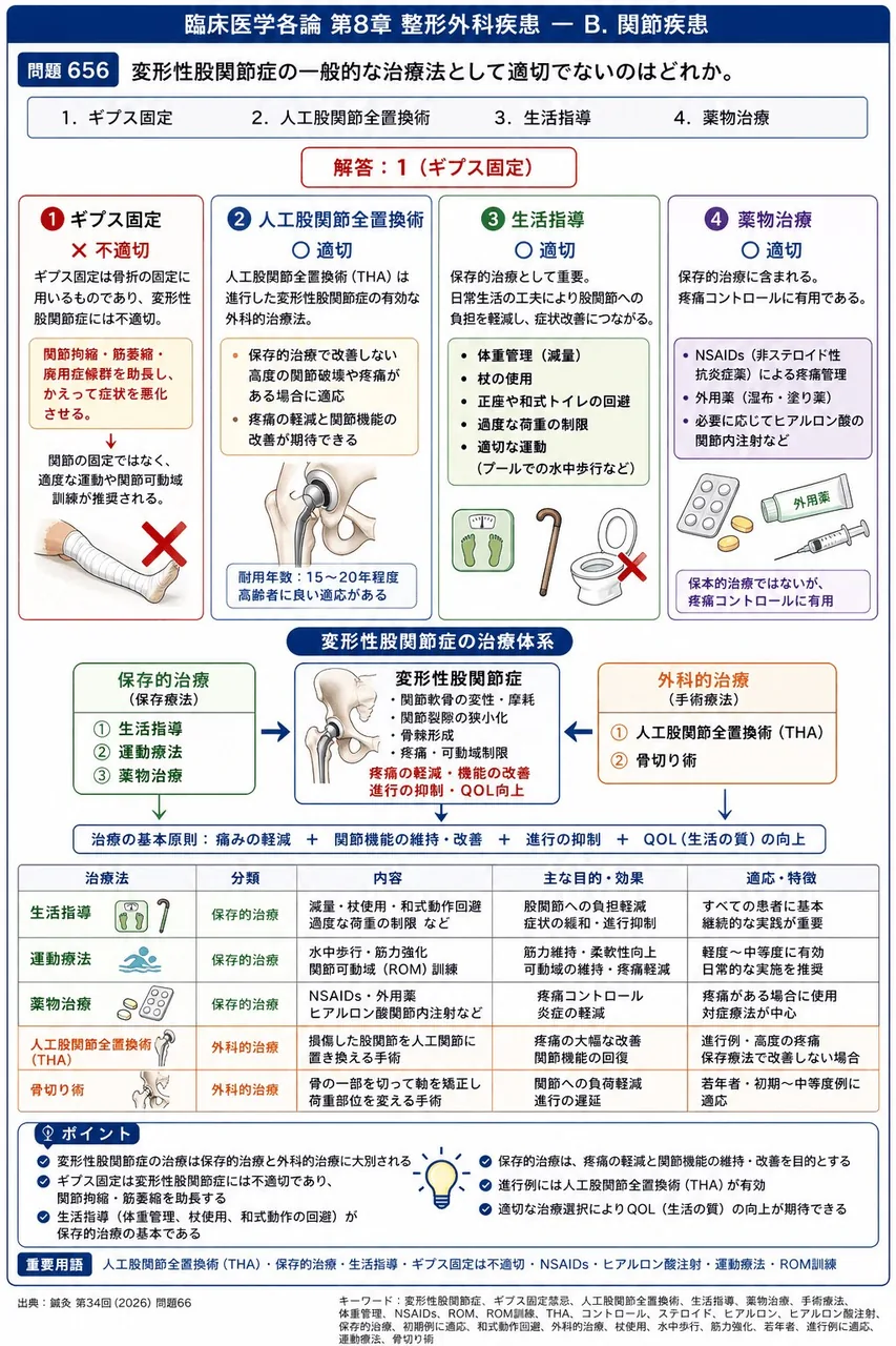 鍼灸 第34回(2026) 問題66|変形性股関節症の一般的な治療法として適切でないのはどれか。 解説図