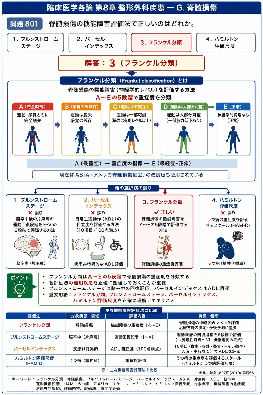 鍼灸 第27回(2019) 問題58|脊髄損傷の機能障害評価法で正しいのはどれか。 解説図