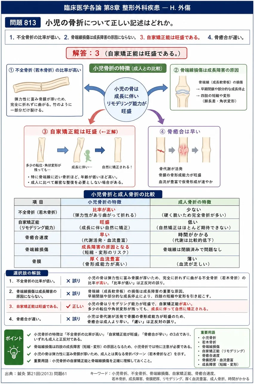 鍼灸 第21回(2013) 問題61|小児の骨折について正しい記述はどれか。 解説図