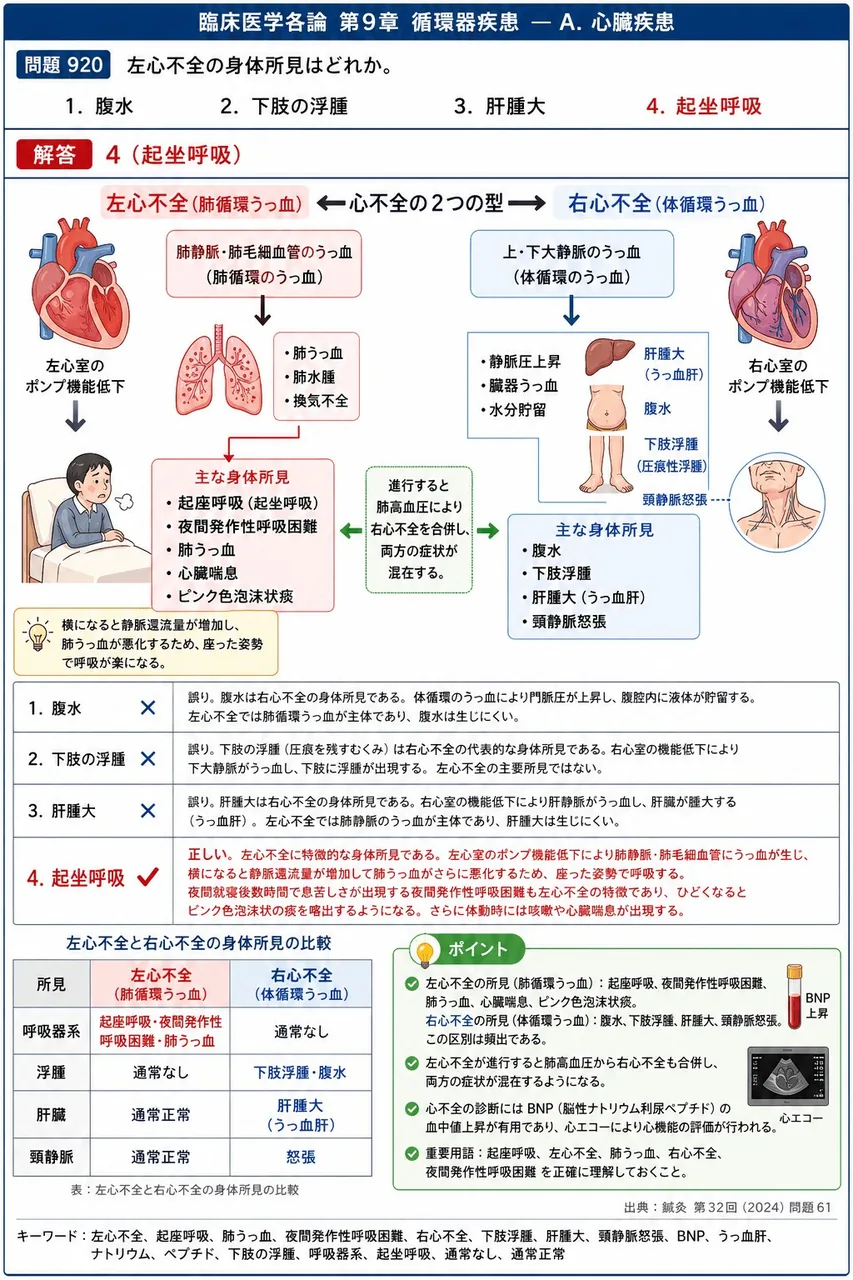 鍼灸 第32回(2024) 問題61｜左心不全の身体所見はどれか。 解説図
