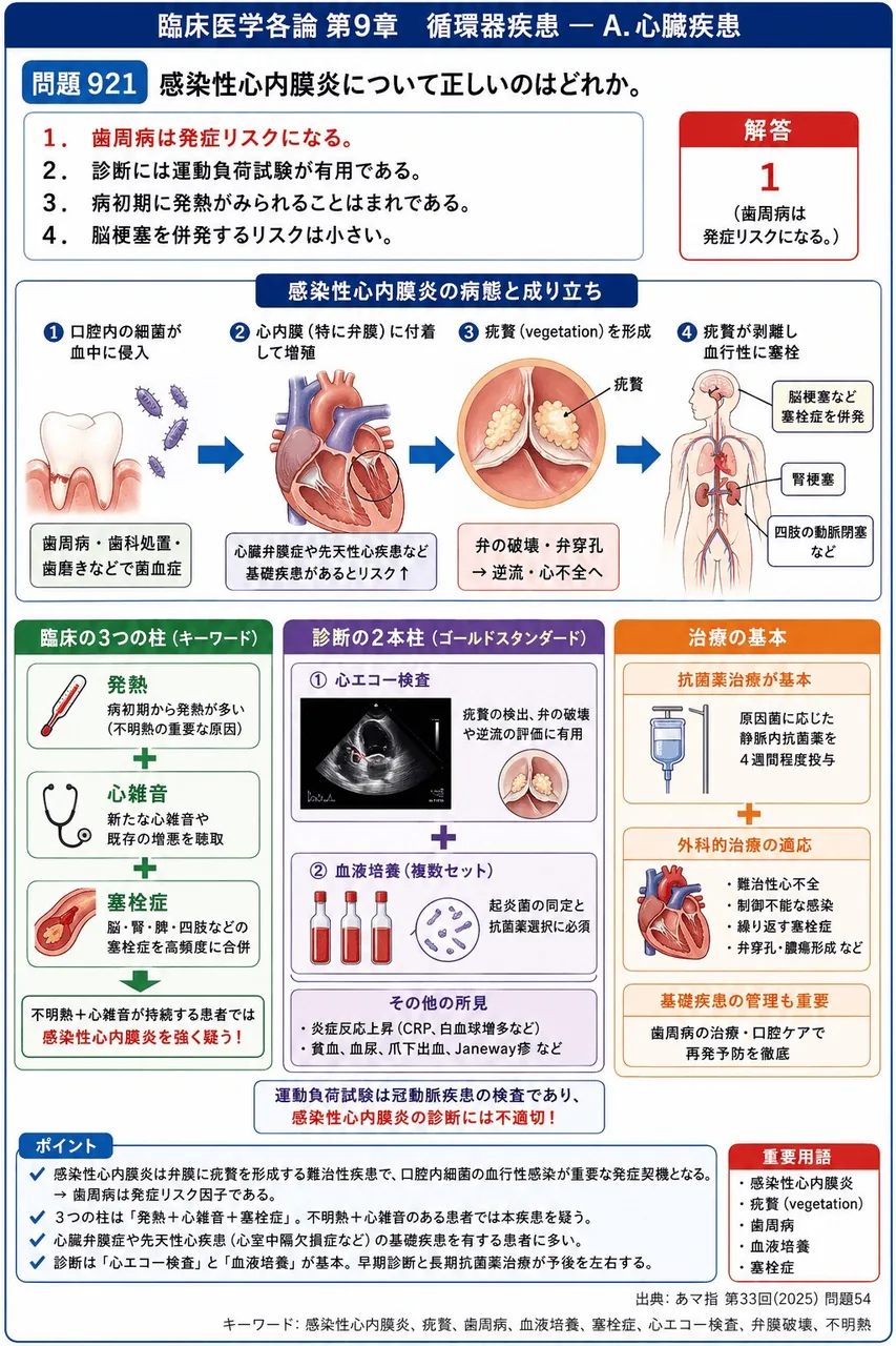 あマ指 第33回(2025) 問題54｜感染性心内膜炎について正しいのはどれか。 解説図