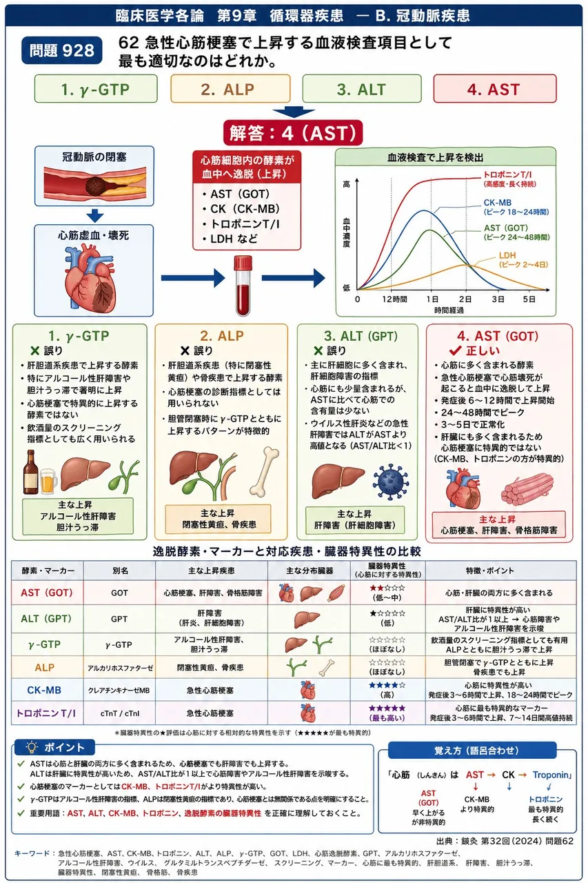 鍼灸 第32回(2024) 問題62|62 急性心筋梗塞で上昇する血液検査項目として最も適切なのはどれか。 解説図