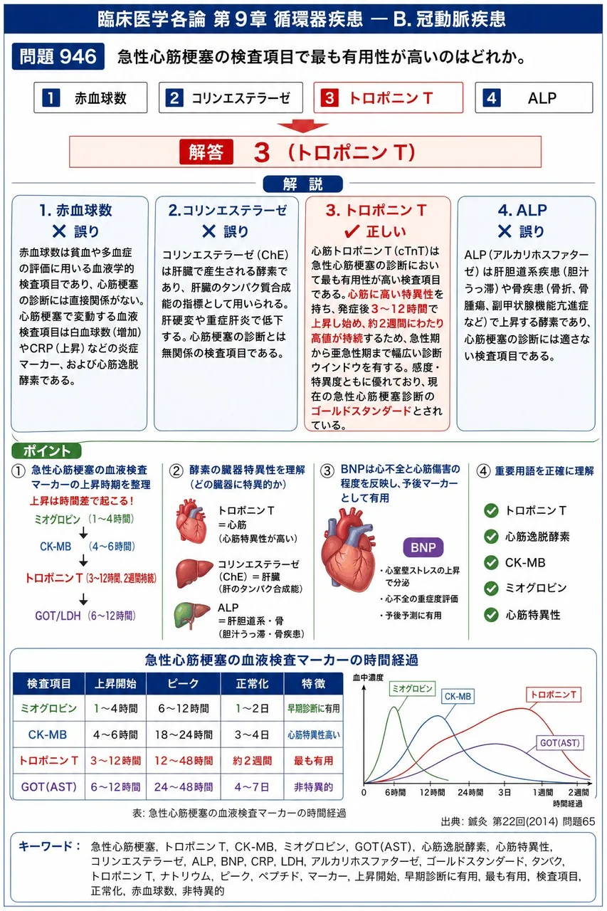 鍼灸 第22回(2014) 問題65|急性心筋梗塞の検査項目で最も有用性が高いのはどれか。 解説図