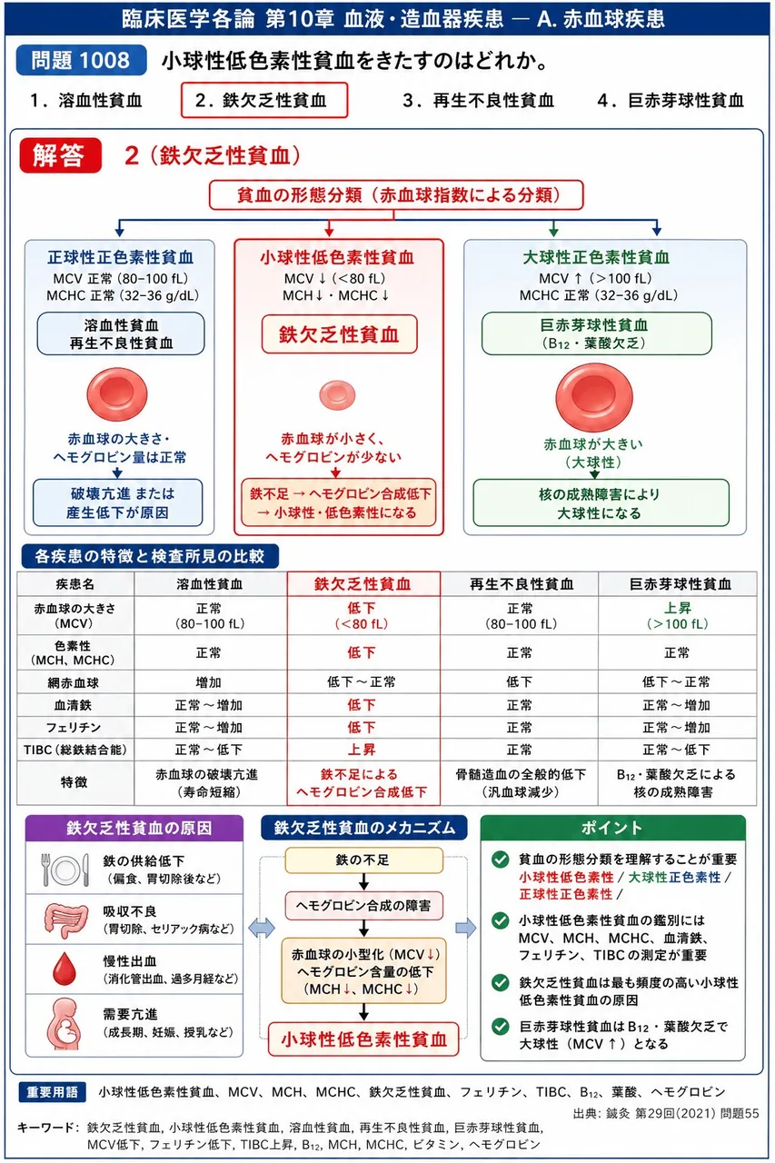 鍼灸 第29回(2021) 問題55｜小球性低色素性貧血をきたすのはどれか。 解説図