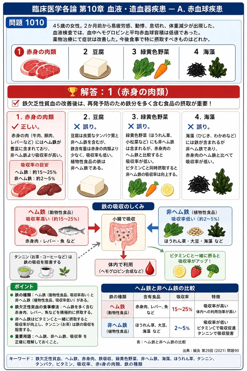 鍼灸 第29回(2021) 問題90｜「45歳の女性。2か月前から易疲労感、動悸、息切れ、体重減少が出現した。血液検査では、血中ヘモグロビンと平均赤血球容積は低値であった。」薬物治療にて症状は改善した。今後食事で特に摂取すべきものはどれか。 解説図