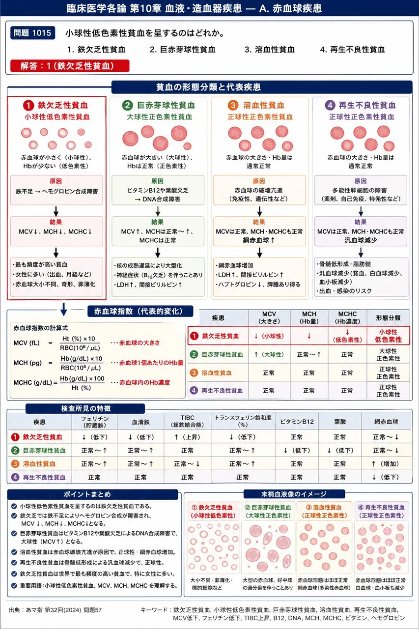 あマ指 第32回(2024) 問題57｜小球性低色素性貧血を呈するのはどれか。 解説図