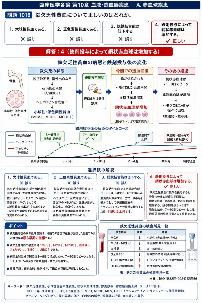 鍼灸 第32回(2024) 問題56｜鉄欠乏性貧血について正しいのはどれか。 解説図
