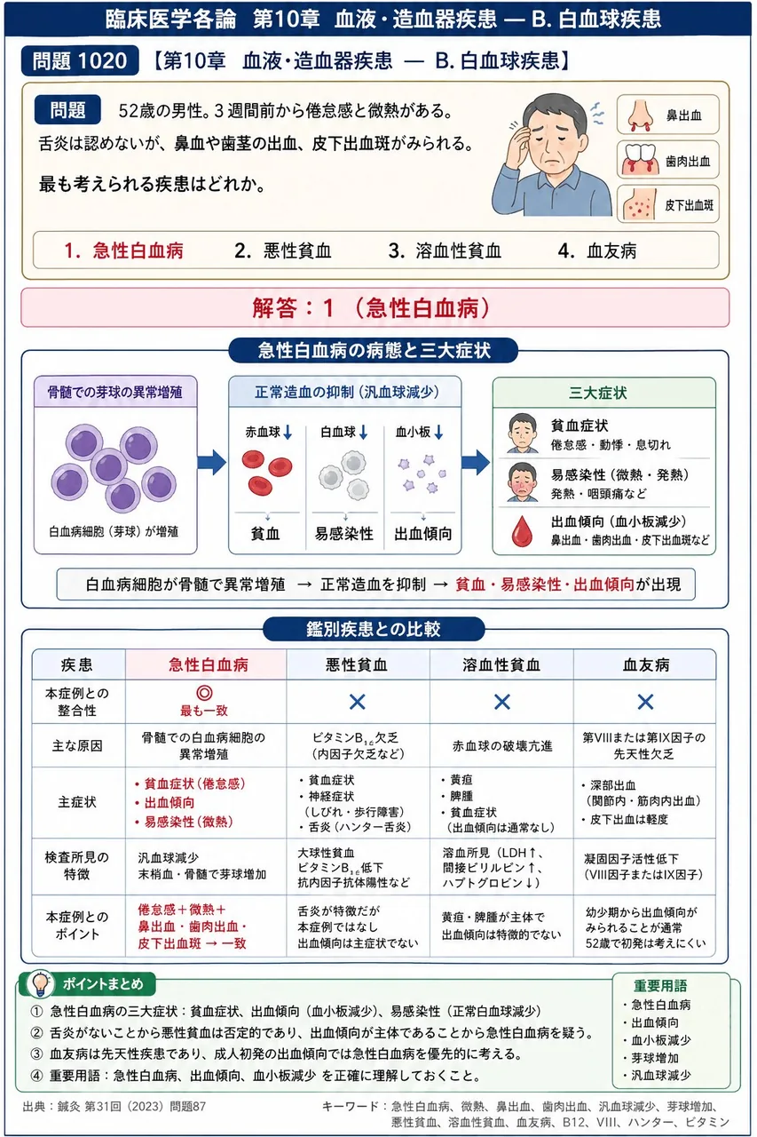 鍼灸 第31回(2023) 問題87｜「52歳の男性。 3週間前から倦怠感と微熱がある。舌炎は認めないが、鼻血や歯茎の出血、皮下出血斑がみられる。」最も考えられる疾患はどれか。 解説図